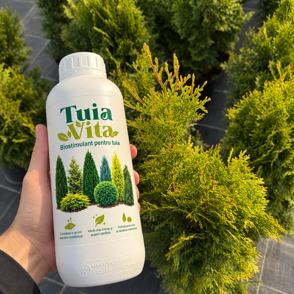 TuiaVita