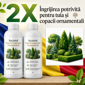 2X Secretul Tuiei si al Copacilor Ornamentali