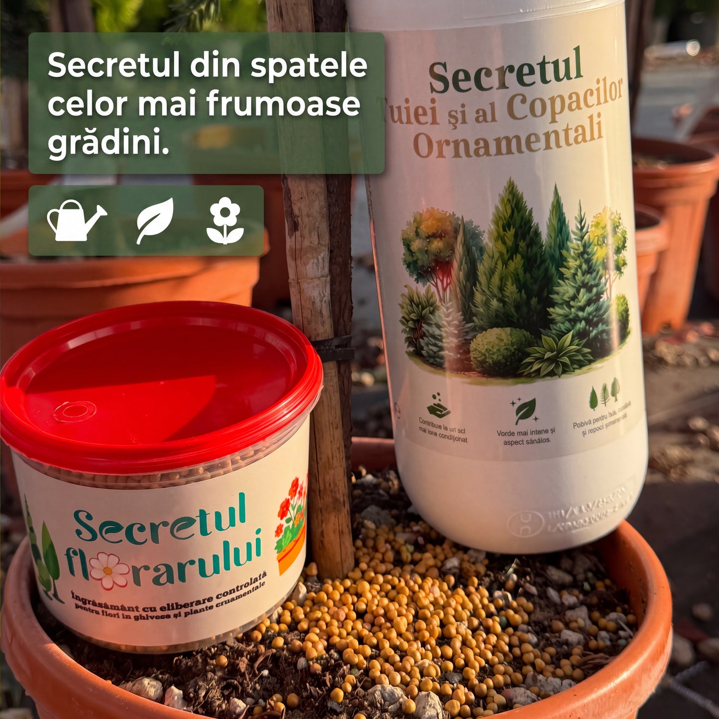 Pachetul Expertului Verde