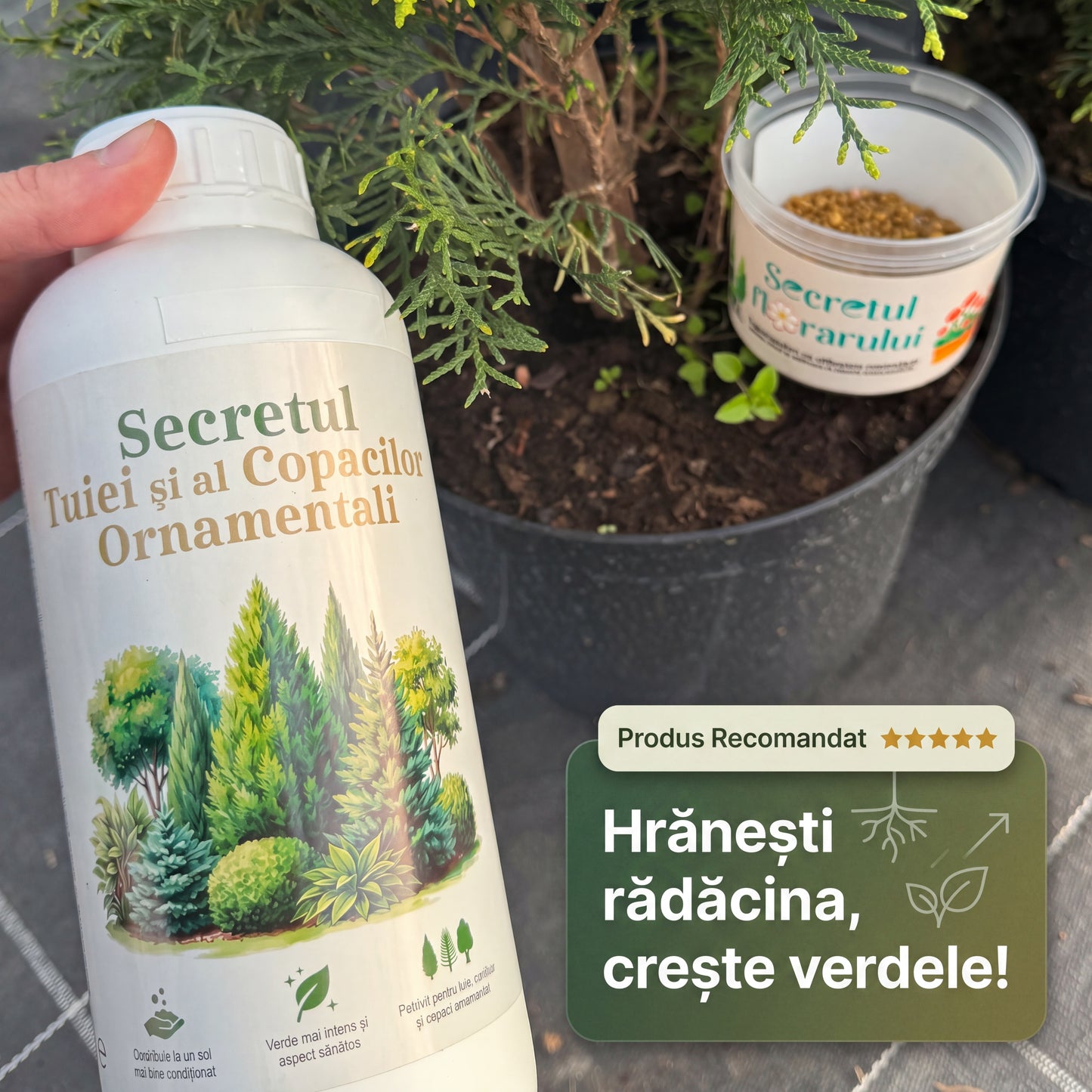 Pachetul Expertului Verde MAX