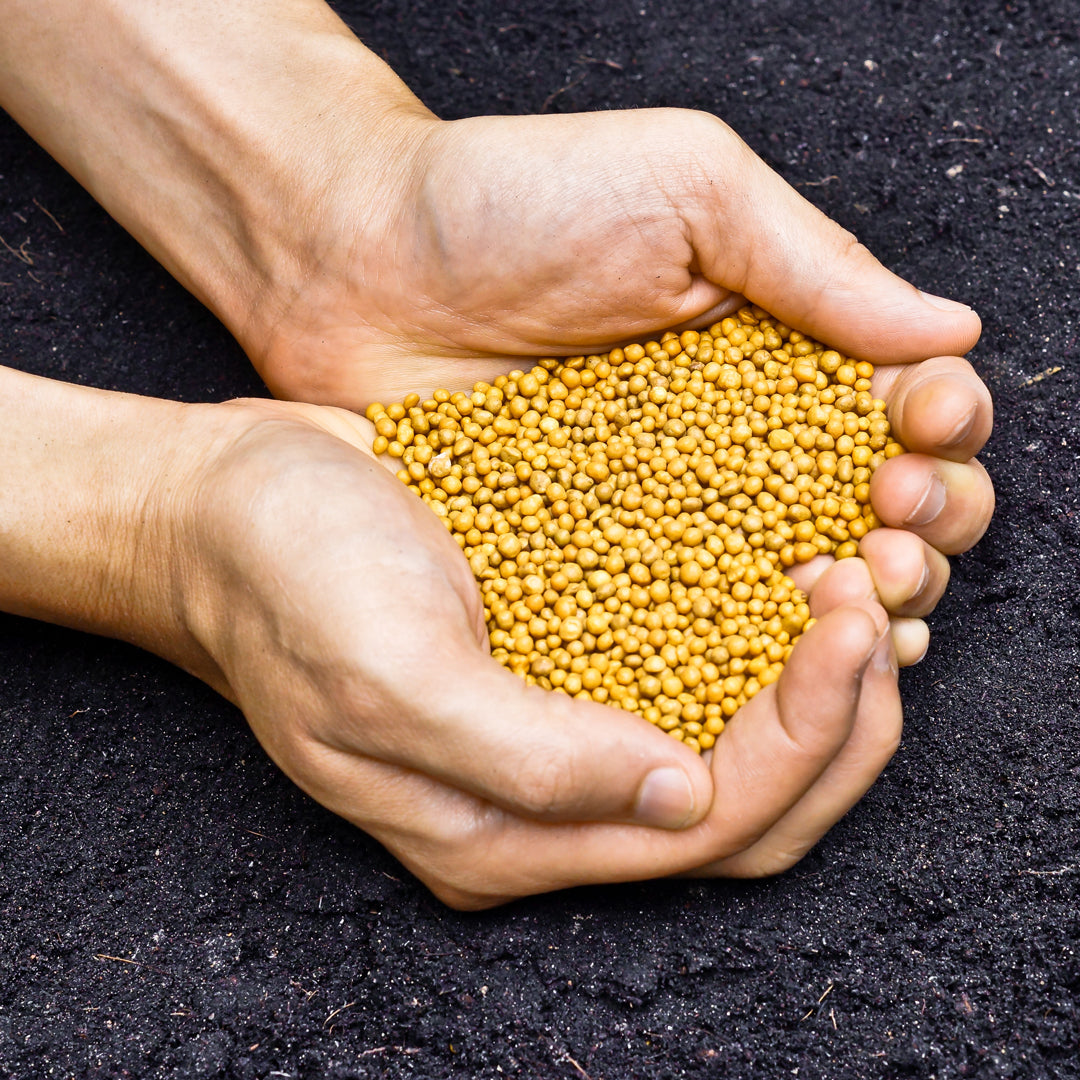 Secretul Florarului Expert – Granule