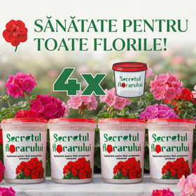 4x Secretul Florarului 500g