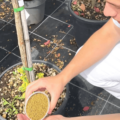 Secretul Florarului Expert – Granule