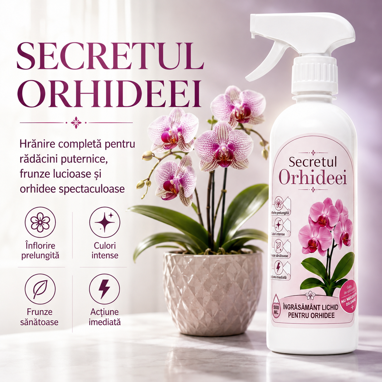 Secretul Orhideei