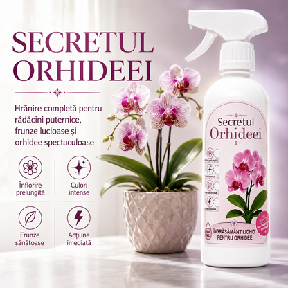 Secretul Orhideei