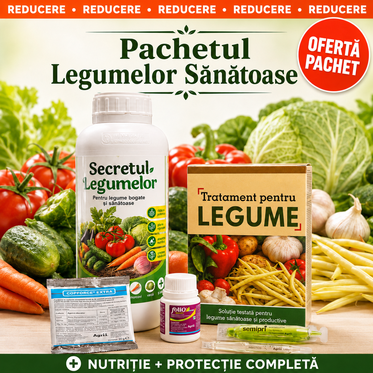 Pachetul Legumelor Sanatoase