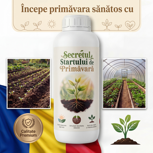 Secretul Startului De Primăvară