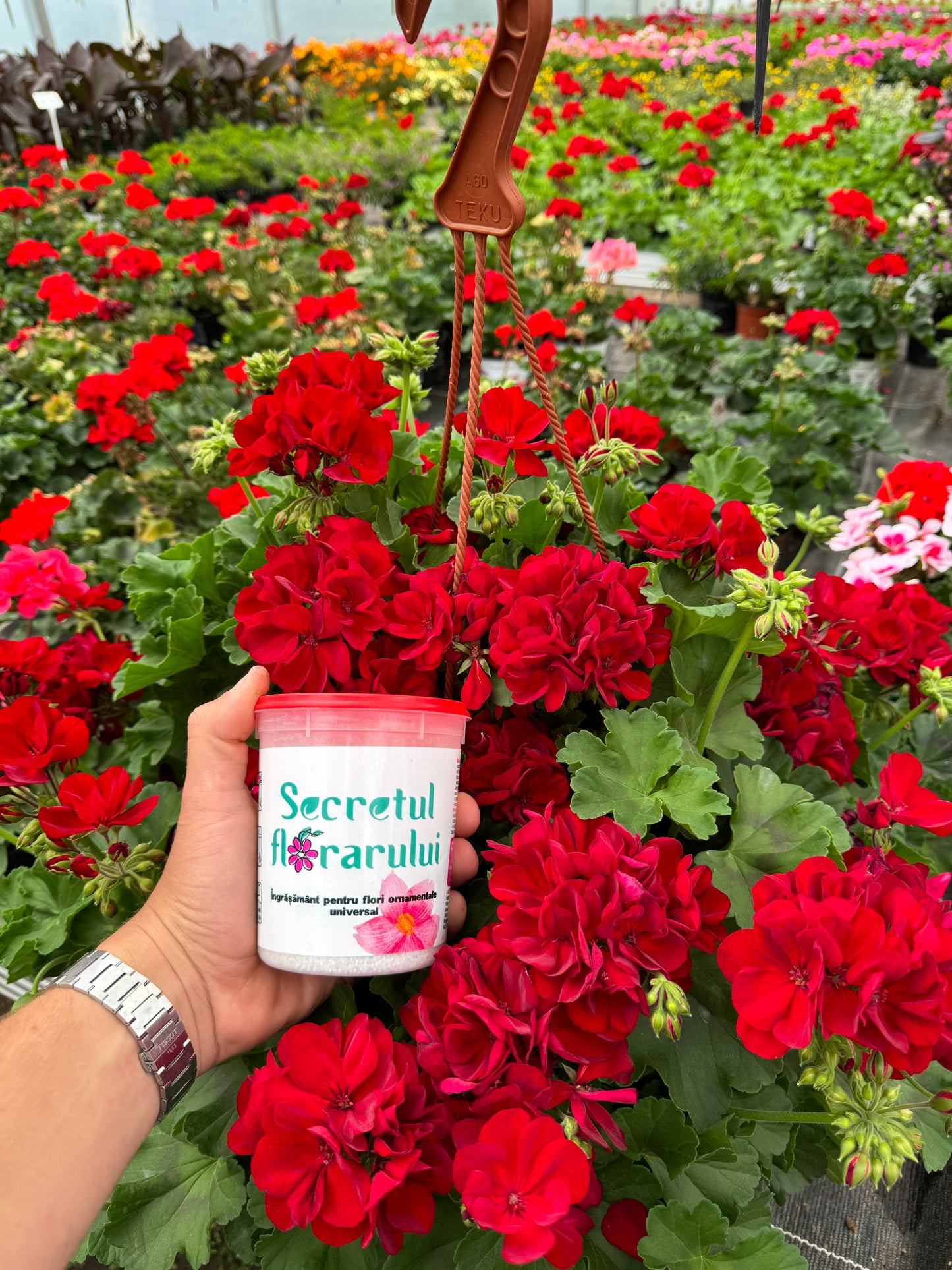 4x Secretul Florarului 500g