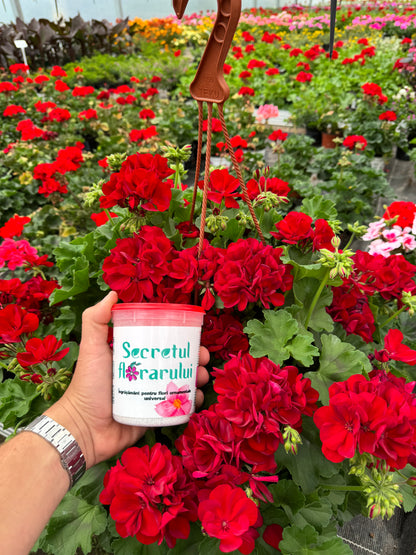 4x Secretul Florarului 500g