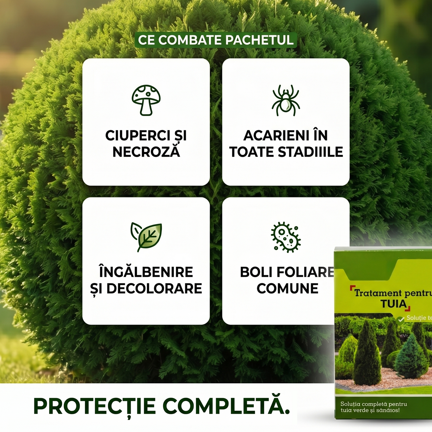 Pachet Complet Tratament Tuia-Conifere