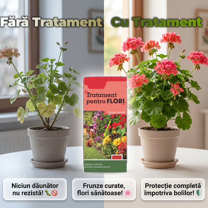 Pachet Tratament Pentru Stropit Florile
