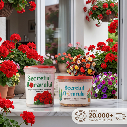 Secretul Florarului – Set Esențial
