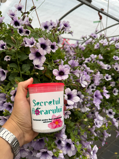 4x Secretul Florarului 500g