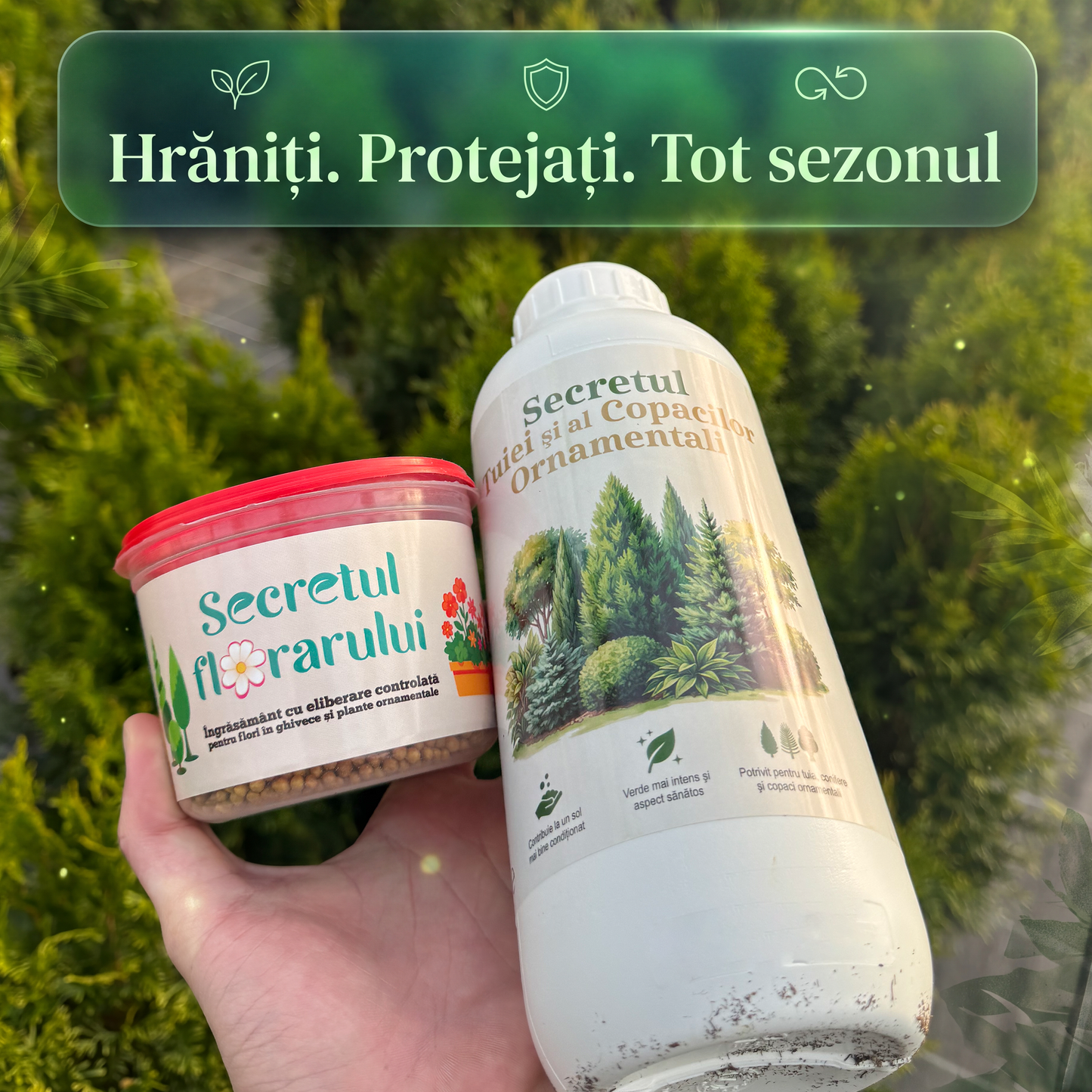 Pachetul Expertului Verde