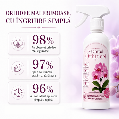 Secretul Orhideei