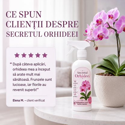 Secretul Orhideei