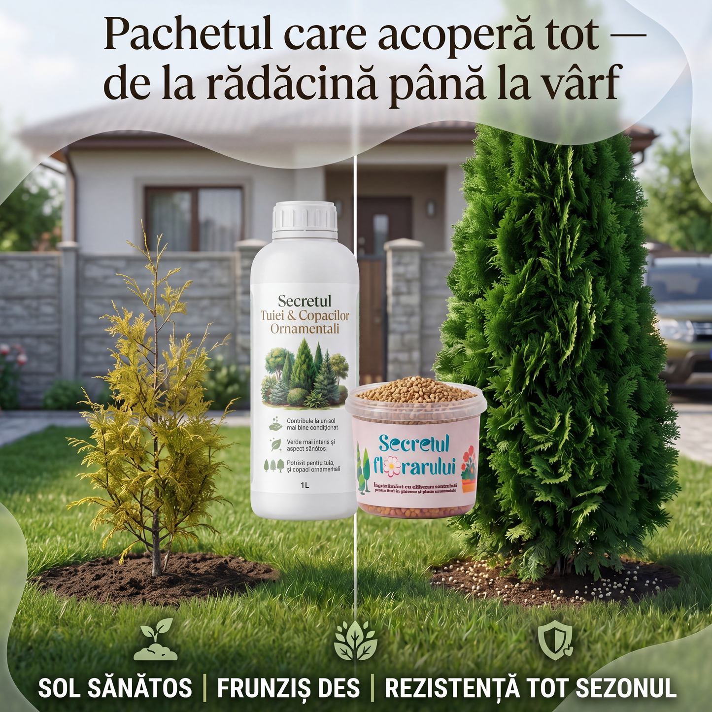 Pachetul Expertului Verde