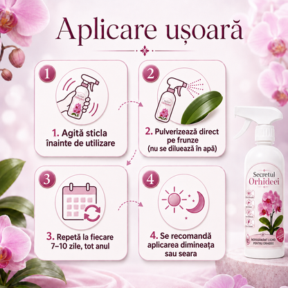 Secretul Orhideei