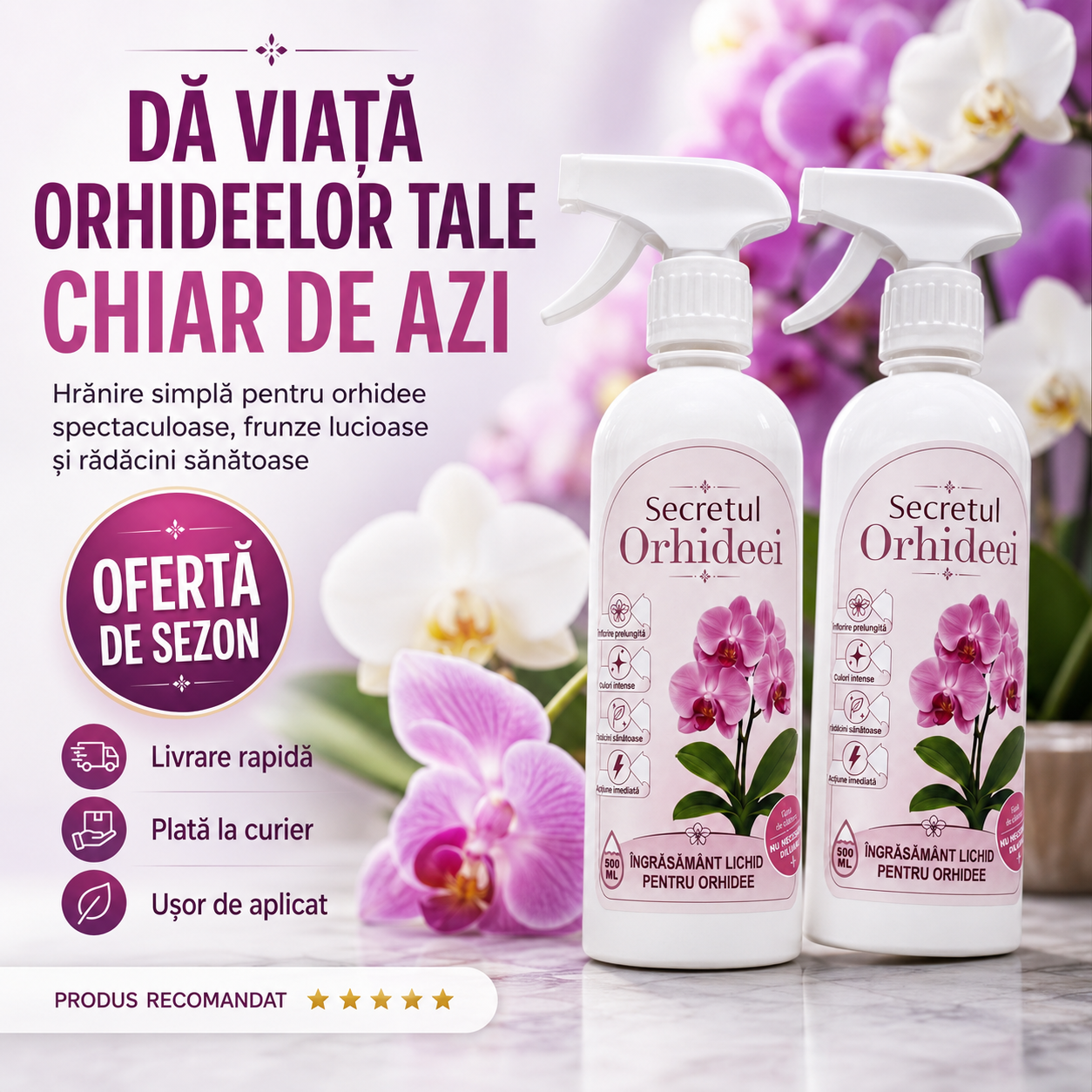 Secretul Orhideei