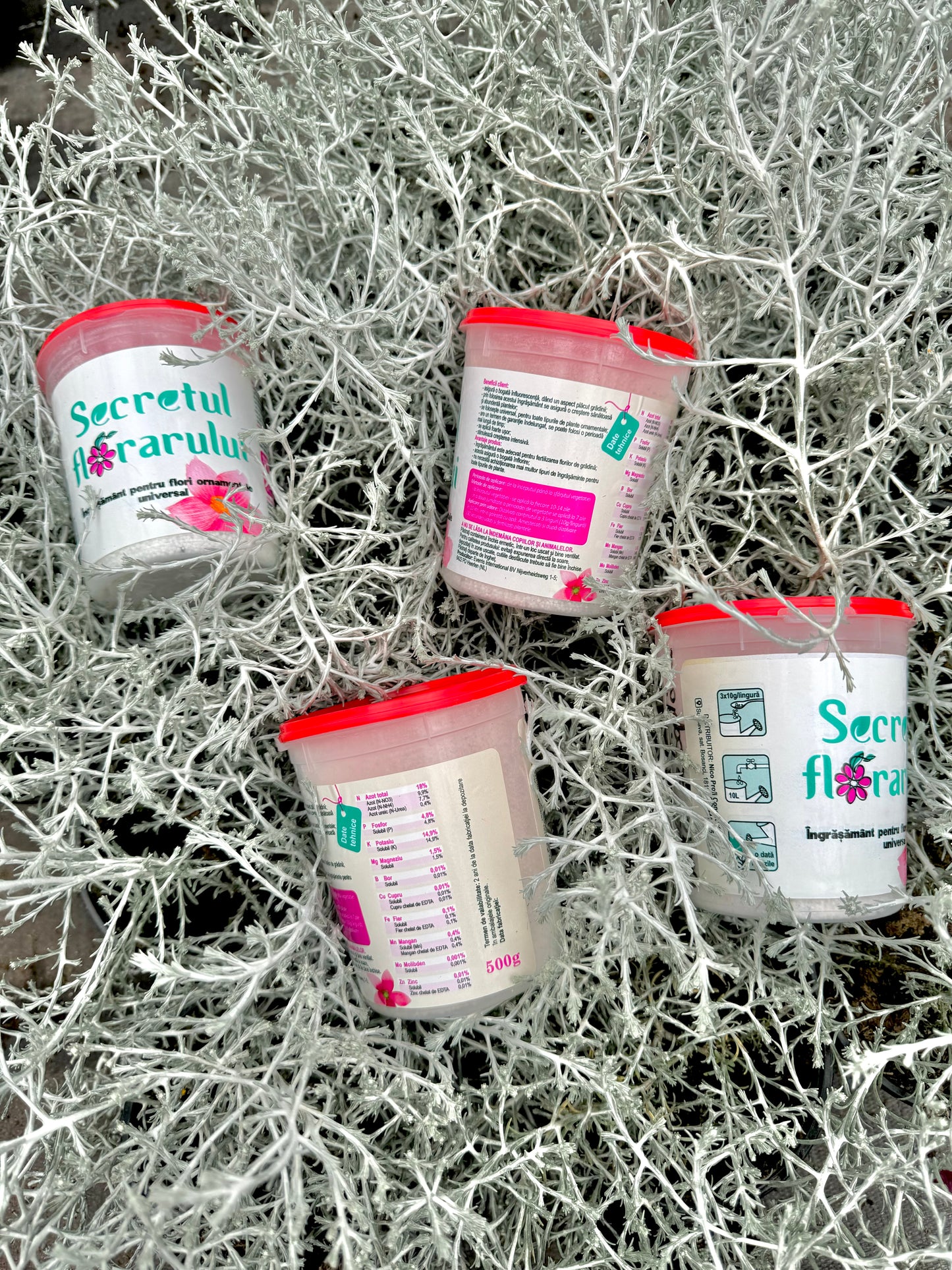4x Secretul Florarului 500g