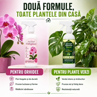 Pachetul Plantelor de Interior