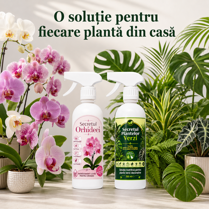 Pachetul Plantelor de Interior