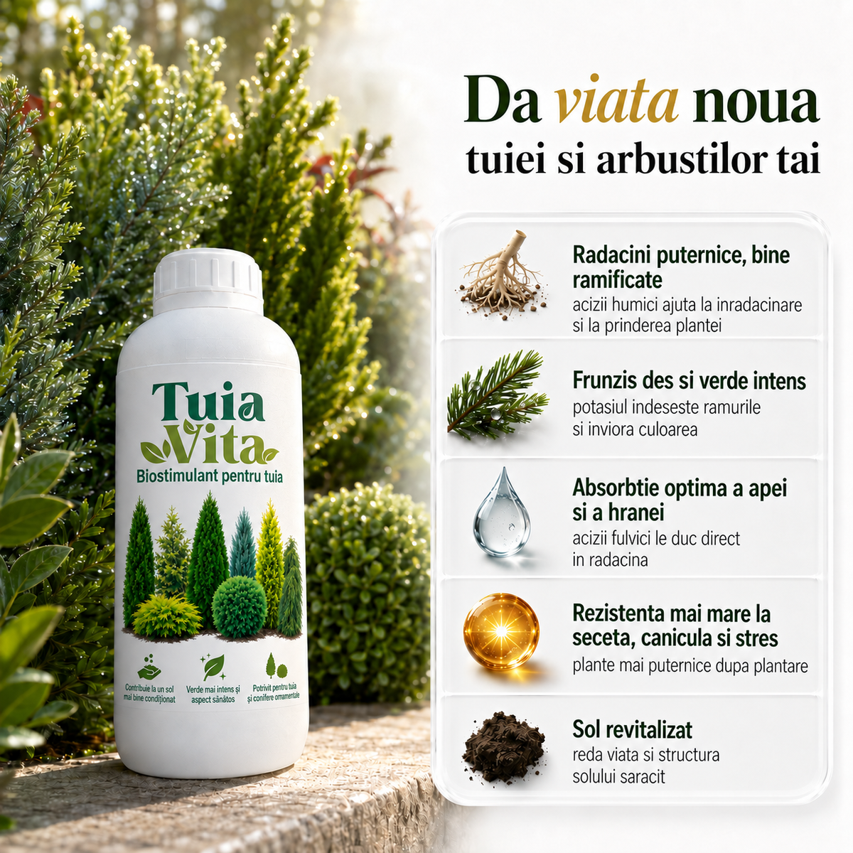 TuiaVita