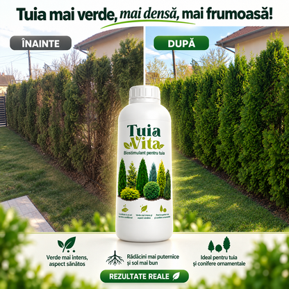 TuiaVita