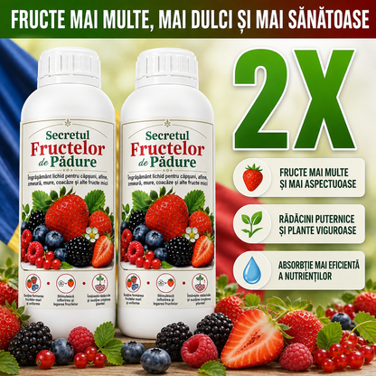 2X Secretul Fructelor de Padure OFERTA