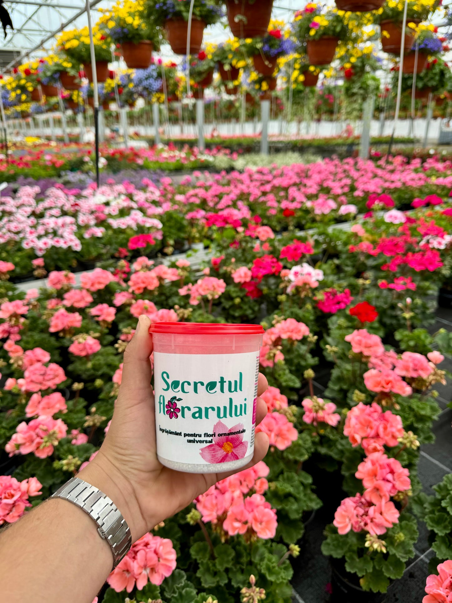 4x Secretul Florarului 500g