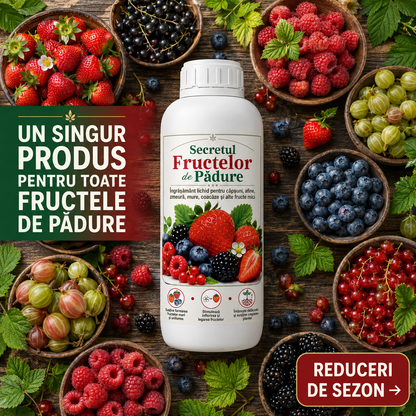 Secretul Fructelor de Padure