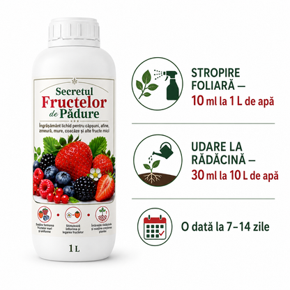 Secretul Fructelor de Padure