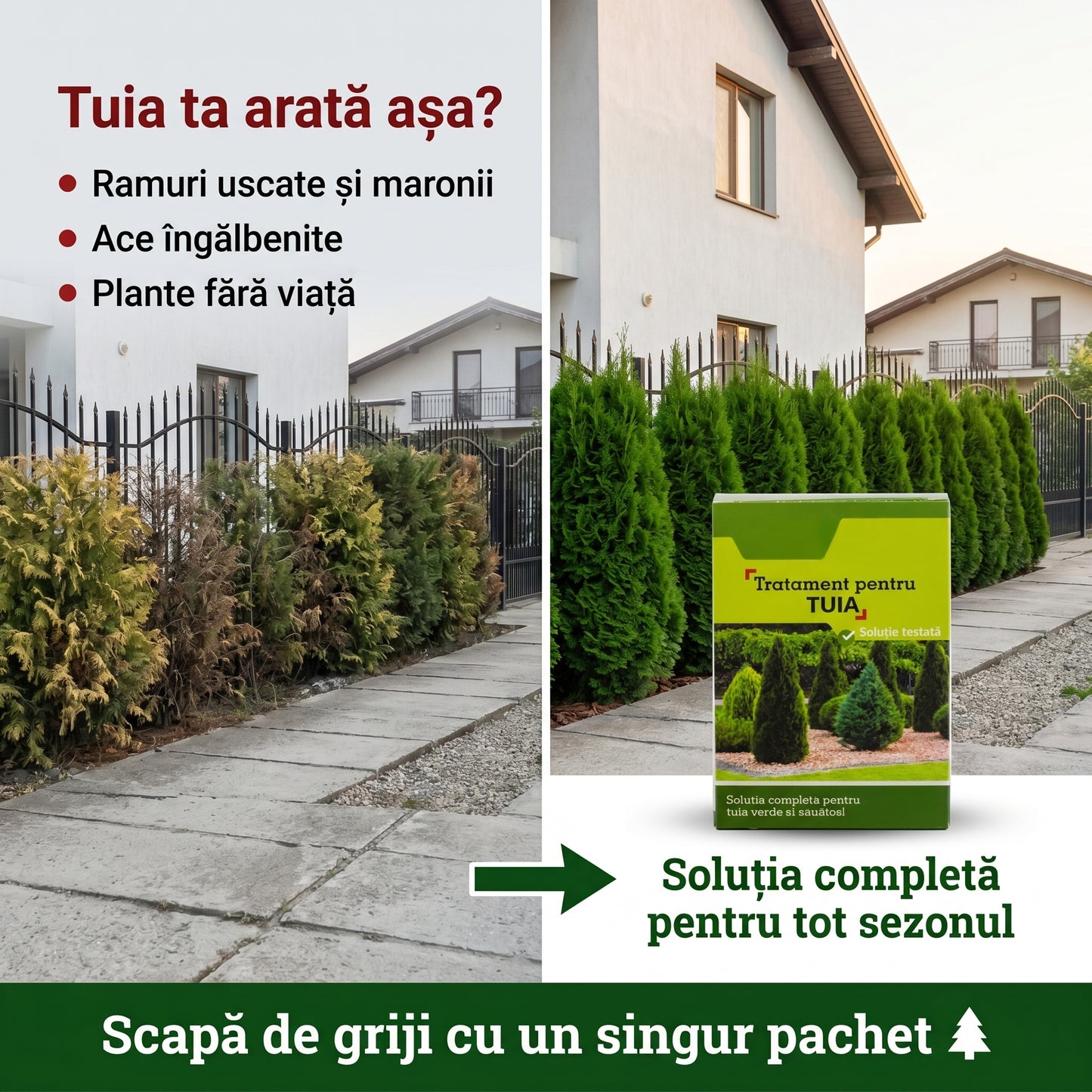 Pachet Complet Tratament Tuia-Conifere