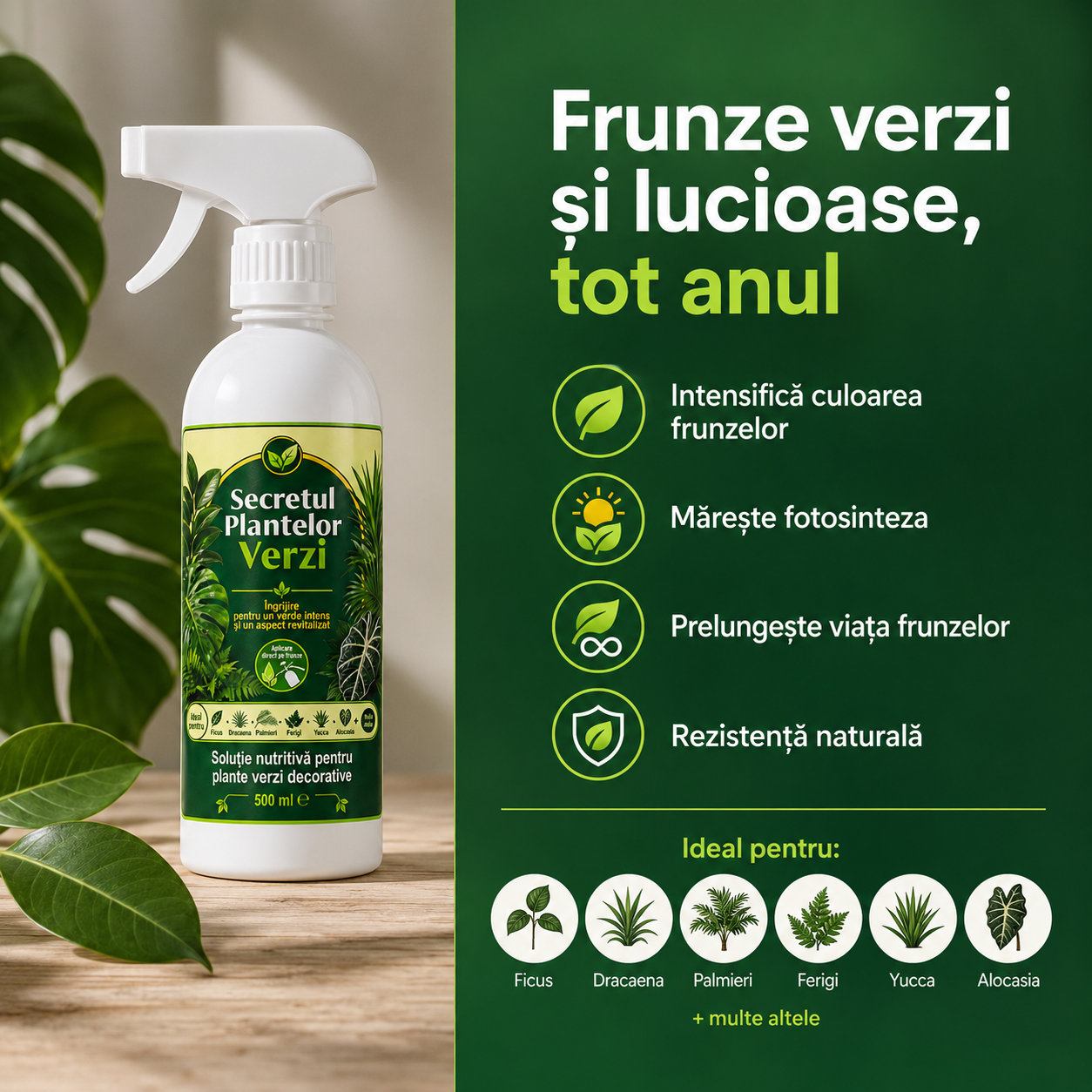 Secretul Plantelor Verzi