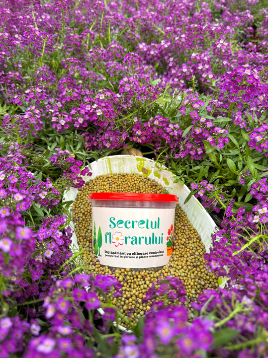 Secretul Florarului Expert – Granule
